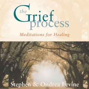 The Grief Process: Meditations for Healing