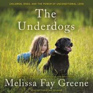 The Underdogs, Melissa Fay Greene
