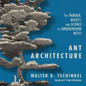 Ant Architecture, Walter R. Tschinkel