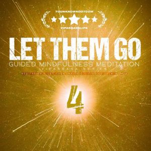 Let Them Go: Guided Mindfulness Meditation (Vipassana Series): Meditation 4 Let Them Irritate  Finding Calm Within