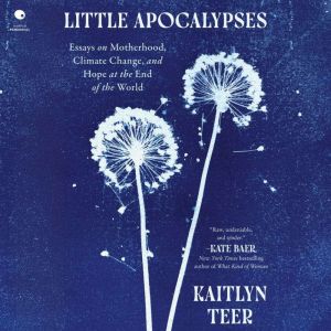 Little Apocalypses, Kaitlyn Teer