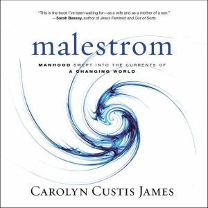 Malestrom, Carolyn Custis James