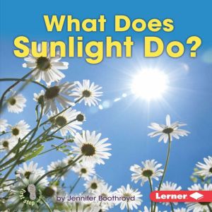 What Does Sunlight Do?, Jennifer Boothroyd