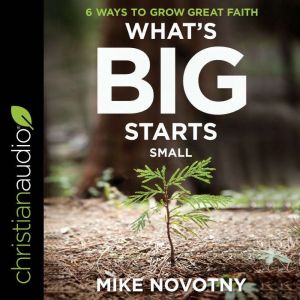 Whats Big Starts Small, Mike Novotny