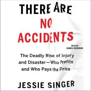 There Are No Accidents: The Deadly Rise of Injury and DisasterWho Profits and Who Pays the Price