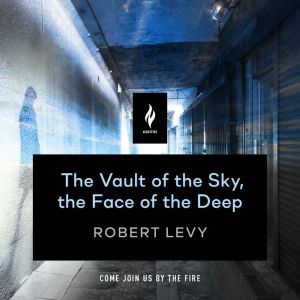 The Vault of the Sky, the Face of the..., Saskia Maarleveld