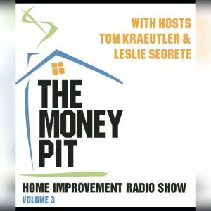 The Money Pit, Vol. 3, Tom Kraeutler Leslie Segrete