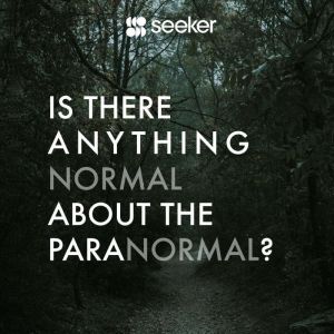 Is There Anything Normal About the Pa..., Seeker