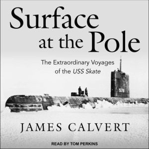 Surface at the Pole, James Calvert