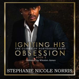 Igniting His Obsession, Stephanie Nicole Norris