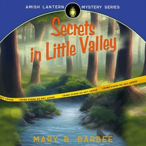 Secrets in Little Valley, Mary B. Barbee