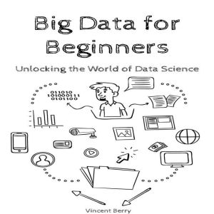 Big Data for Beginners, Vincent Berry