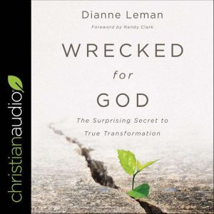 Wrecked for God, Dianne Leman