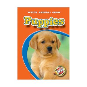 Puppies, Colleen Sexton