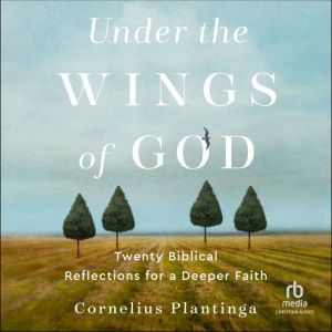 Under the Wings of God: Twenty Biblical Reflections for a Deeper Faith