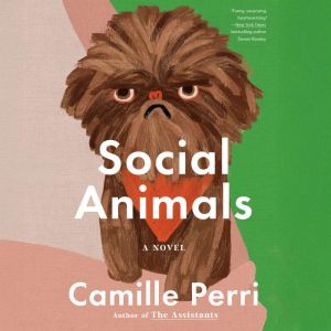 Social Animals, Camille Perri