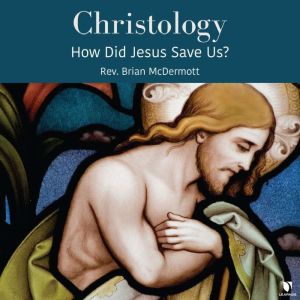Christology How Did Jesus Save Us?, Brian McDermott