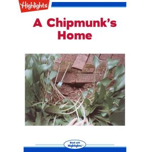 A Chipmunks Home, Janice Marie Scully