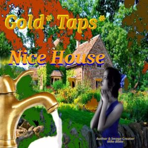 Gold Taps Nice House, Mike Blake