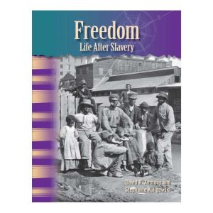 Freedom Life After Slavery, David Anthony