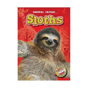 Sloths, Megan BorgertSpaniol