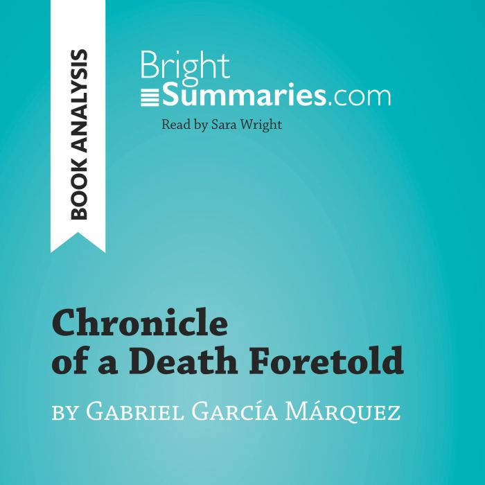 Chronicle of a Death Foretold by Gabr..., Bright Summaries