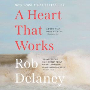 A Heart that Works, Rob Delaney