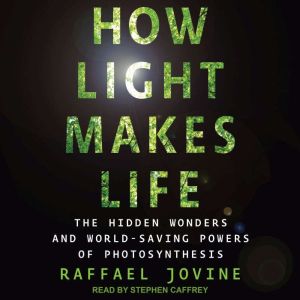 How Light Makes Life, Raffael Jovine