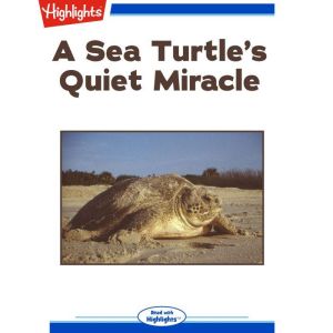 A Sea Turtles Quiet Miracle, Lorraine A. Jay