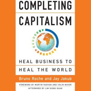 Completing Capitalism, Bruno Roche