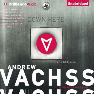 Down Here, Andrew Vachss