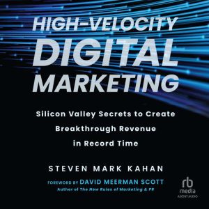 HighVelocity Digital Marketing, Steven Mark Kahan