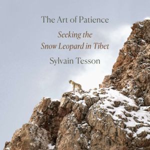 The Art of Patience, Sylvain Tesson