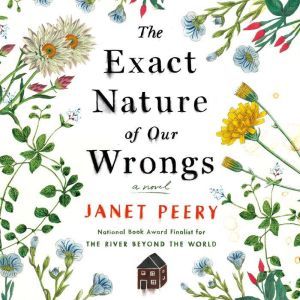 The Exact Nature of Our Wrongs, Janet Peery
