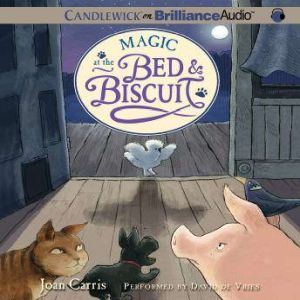 Magic at the Bed  Biscuit, Joan Carris