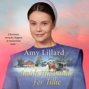 Amish Husband for Tillie, An, Amy Lillard
