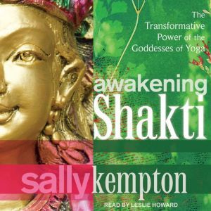Awakening Shakti, Sally Kempton