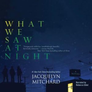 What We Saw at Night, Jacquelyn Mitchard