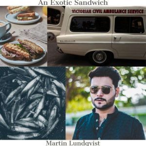 An Exotic Sandwich, Martin Lundqvist
