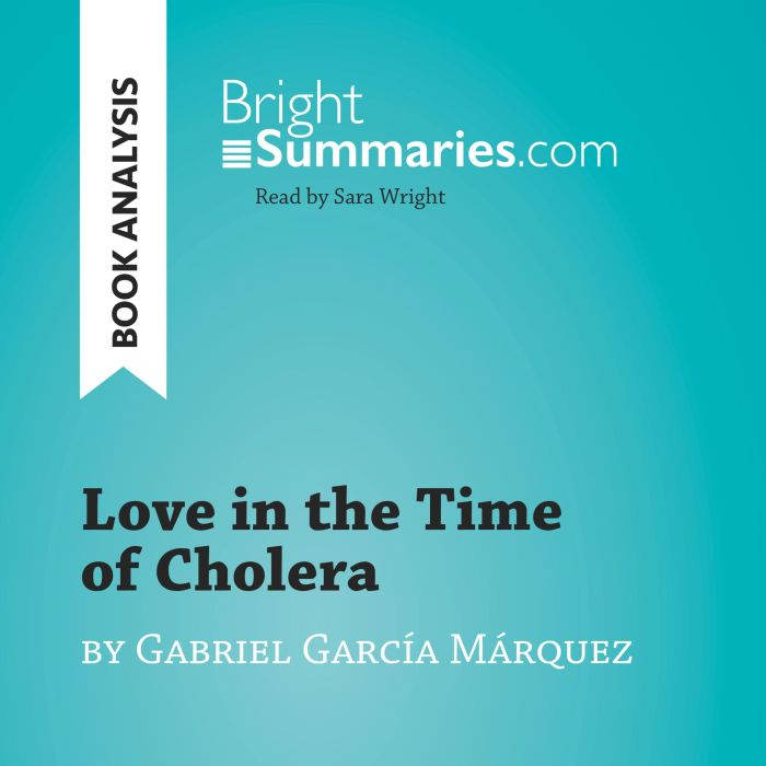 Love in the Time of Cholera by Gabrie..., Bright Summaries