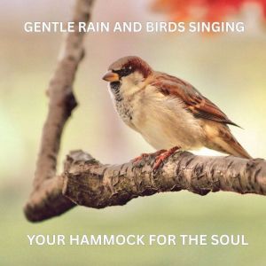Gentle Rain and Birdsong  Nature Sounds for Relaxation: Your Hammock for the Soul: Peaceful Ambient Soundscapes to Unwind and