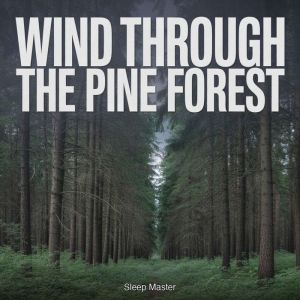 Wind Through the Pine Forest, Sleep Master