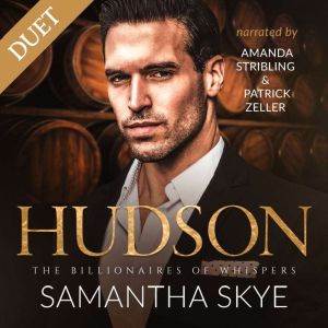 Hudson: A Small Town Billionaire Romance