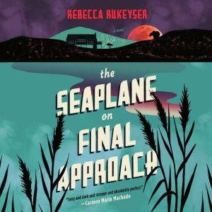 The Seaplane on Final Approach, Rebecca Rukeyser