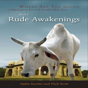 Rude Awakenings: Two Englishmen on Foot in Buddhism's Holy Land