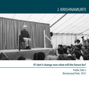 If I DonT Change Now What Will the F..., Jiddu Krishnamurti