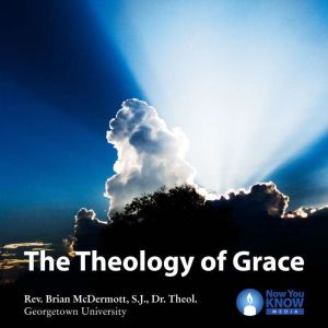 The Theology of Grace, Brian McDermott