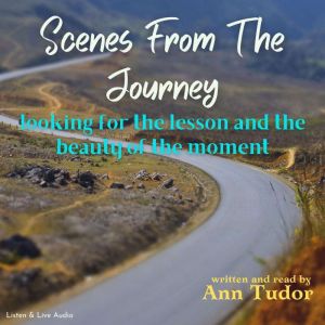 Scenes From The Journey, Ann Tudor