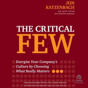 The Critical Few: Energize Your Companys Culture by Choosing What Really Matters