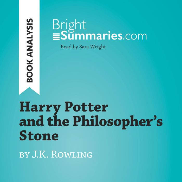 Harry Potter and the Philosophers St..., Bright Summaries
